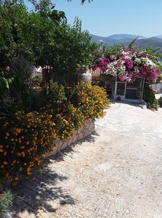 Elenh House Leilighet Argostoli  Eksteriør bilde