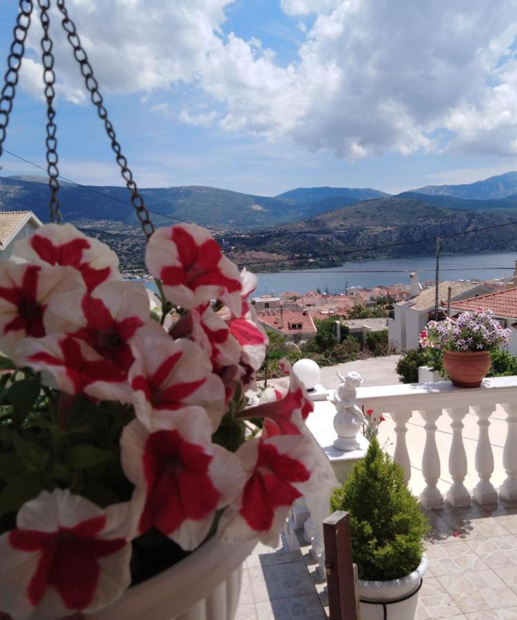 Elenh House Leilighet Argostoli  Eksteriør bilde