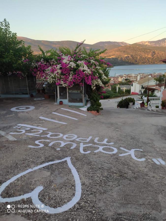 Elenh House Leilighet Argostoli  Eksteriør bilde