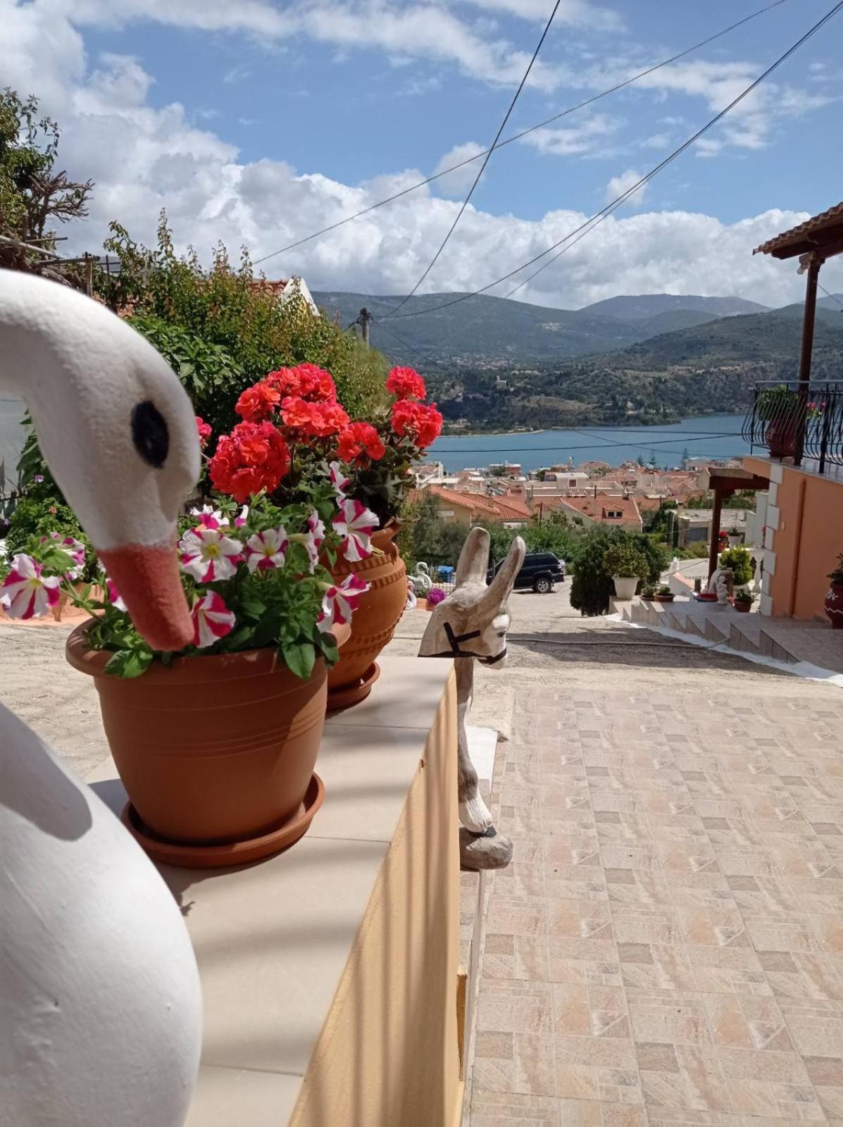Elenh House Leilighet Argostoli  Eksteriør bilde